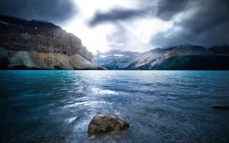 自动化独特